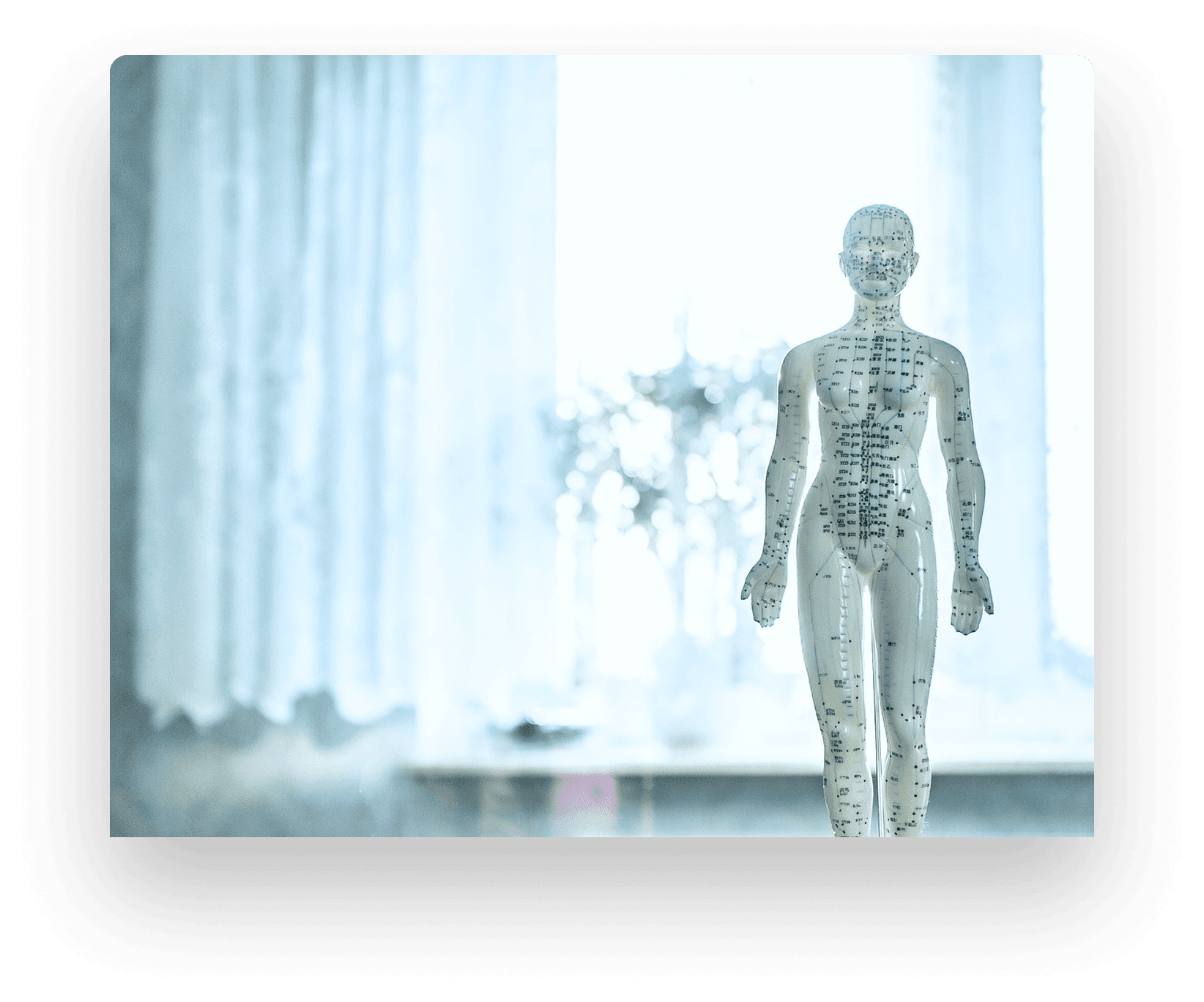 AI for Osteopath  